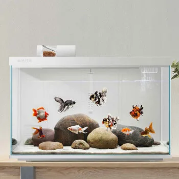 Bể cá thông minh Xiaomi HFJH S600 – 30 lít 4