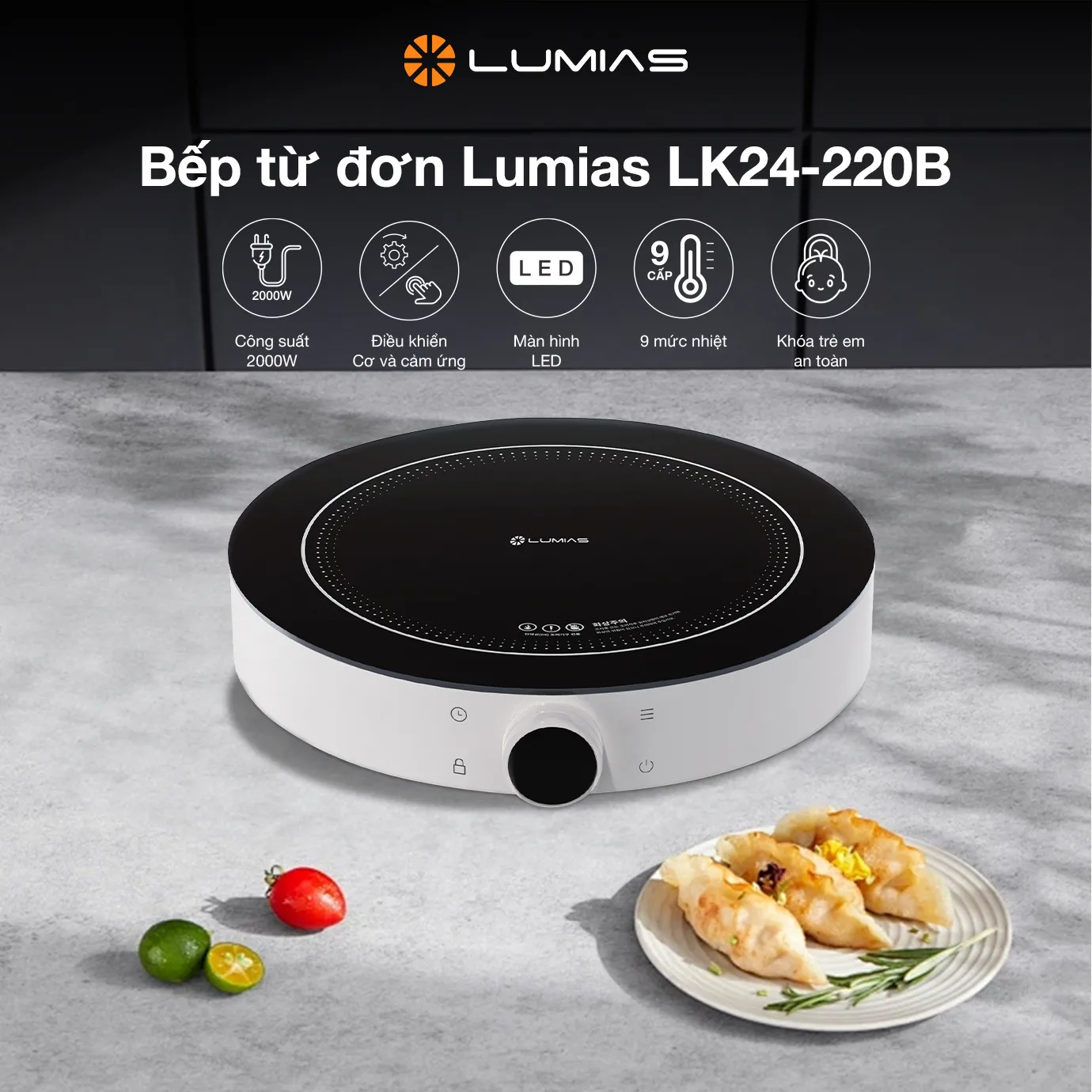 Bếp từ đơn Lumias LK24-220B 2